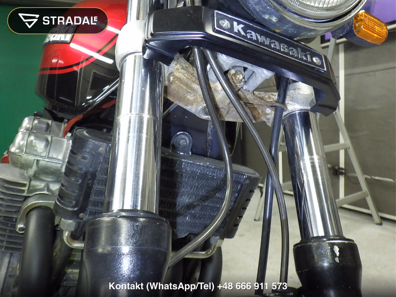 KAWASAKI ZEPHYR750, miniaturka 9