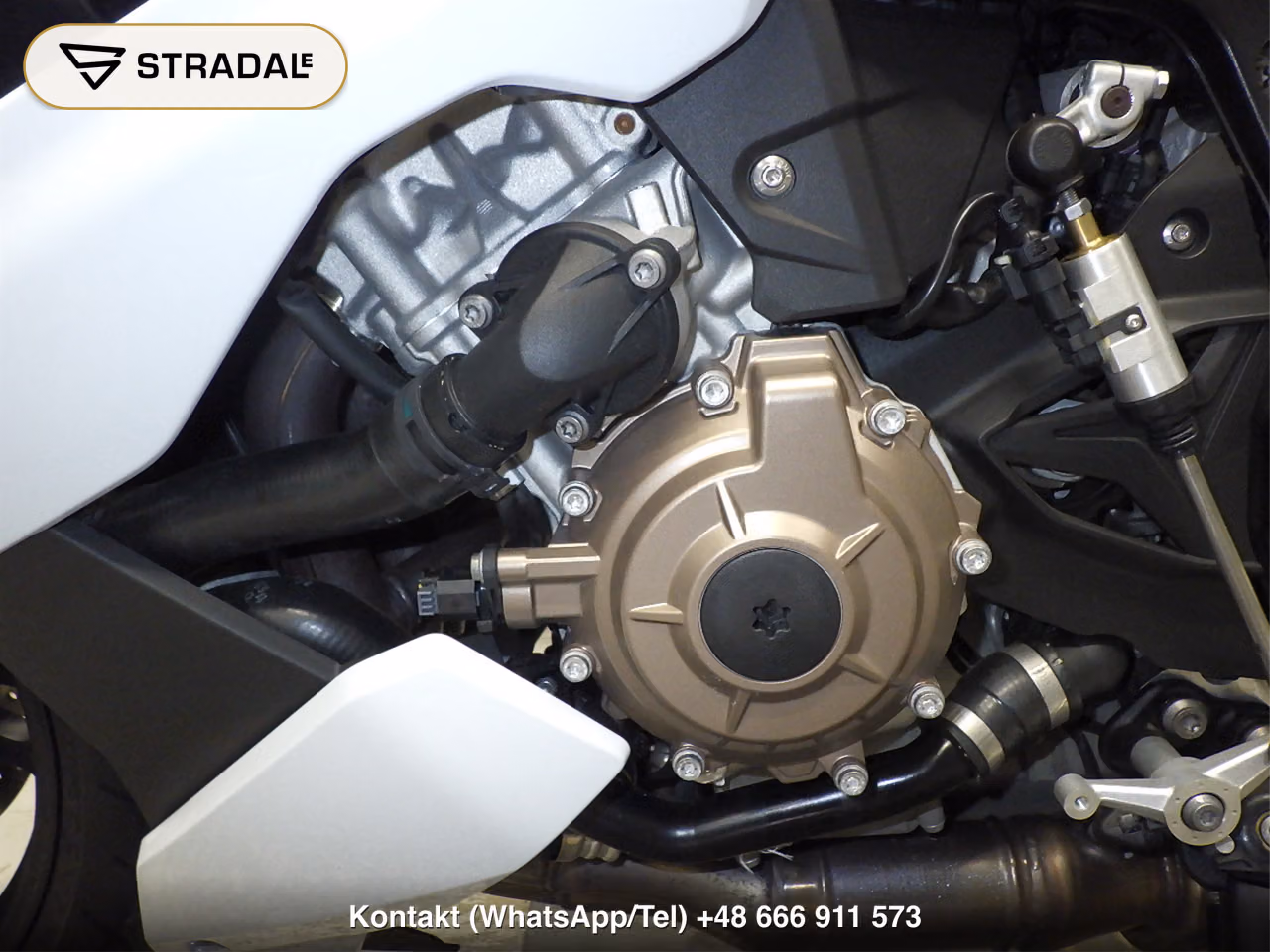 BMW S1000R, miniaturka 4