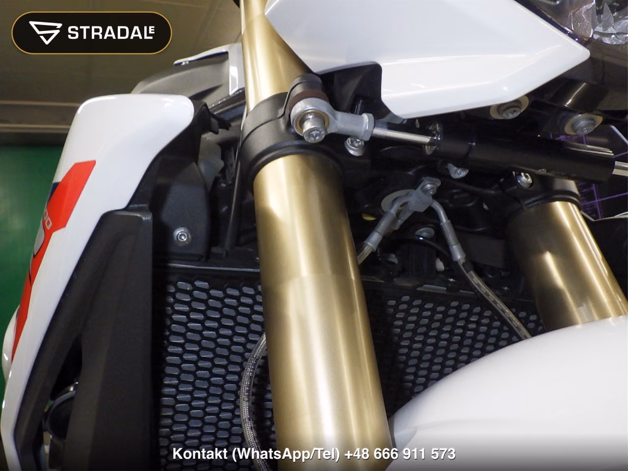 BMW S1000R, miniaturka 8