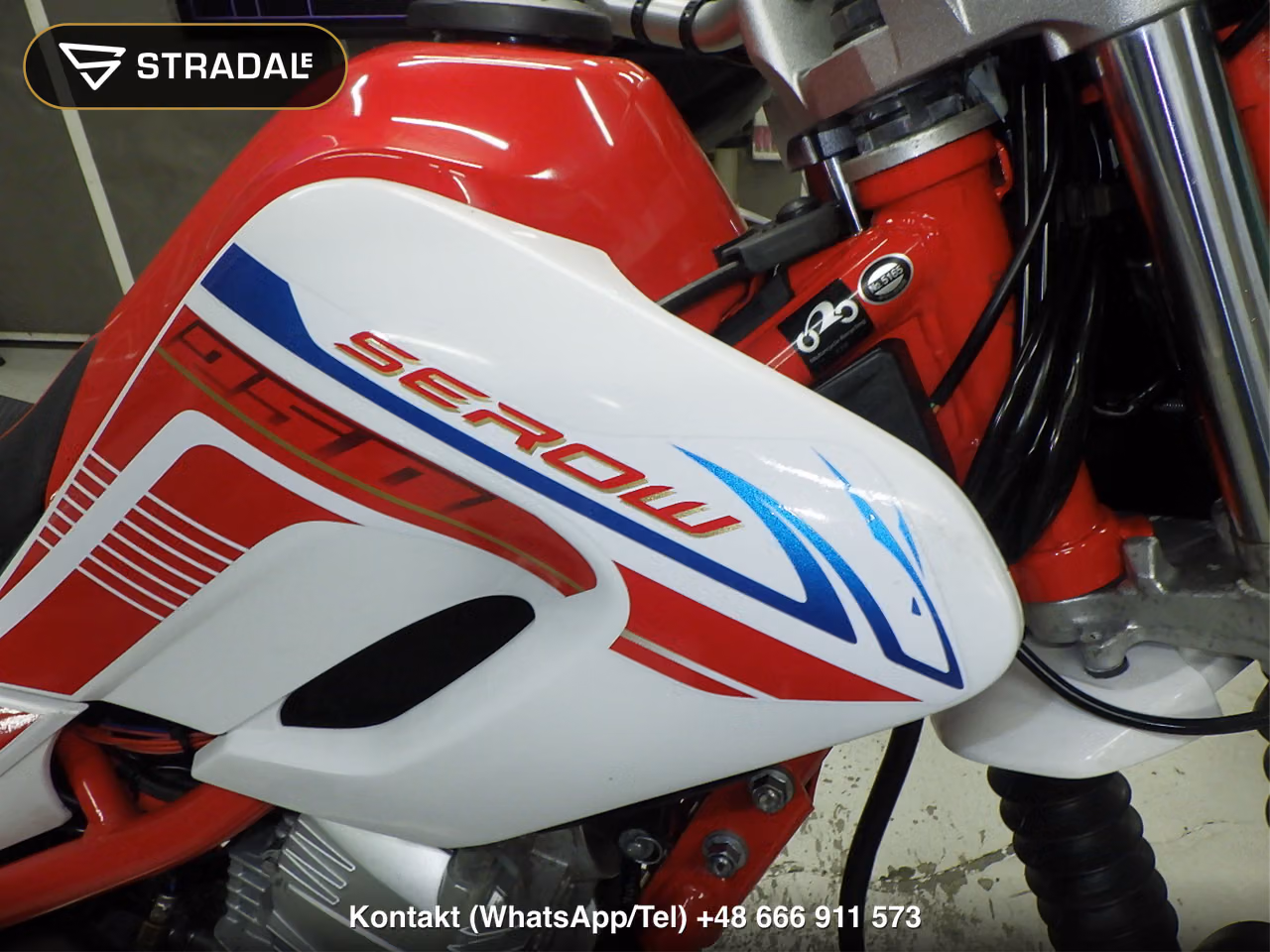 YAMAHA ｾﾛｰ250-3, miniaturka 12