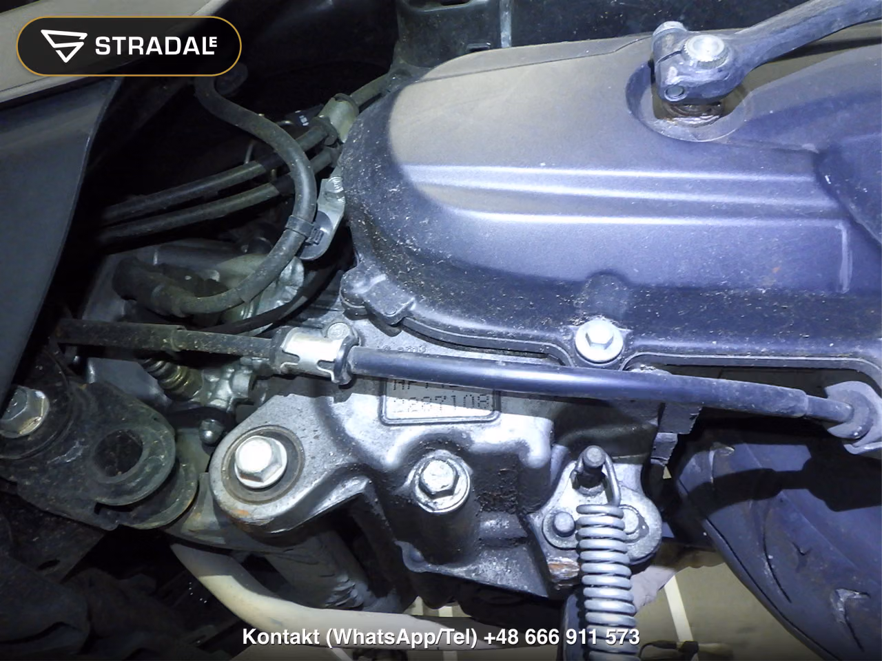 HONDA ﾀｸﾄ-4ﾍﾞｰｼｯｸ, miniaturka 2