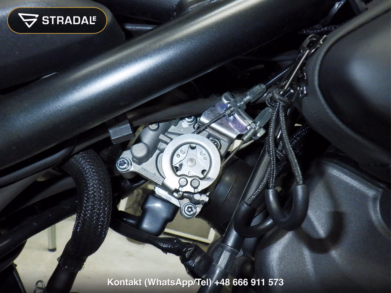 HONDA CL250-2, miniaturka 5