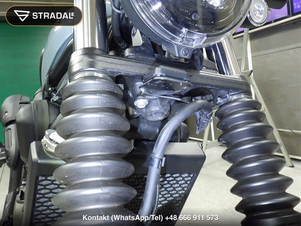 HONDA CL250-2, miniaturka 8