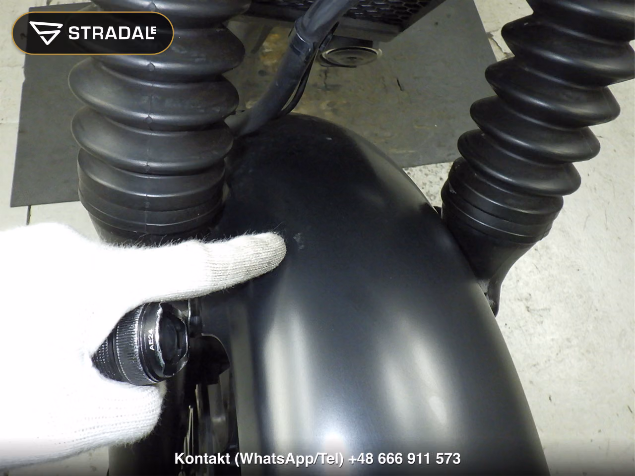 HONDA CL250-2, miniaturka 10