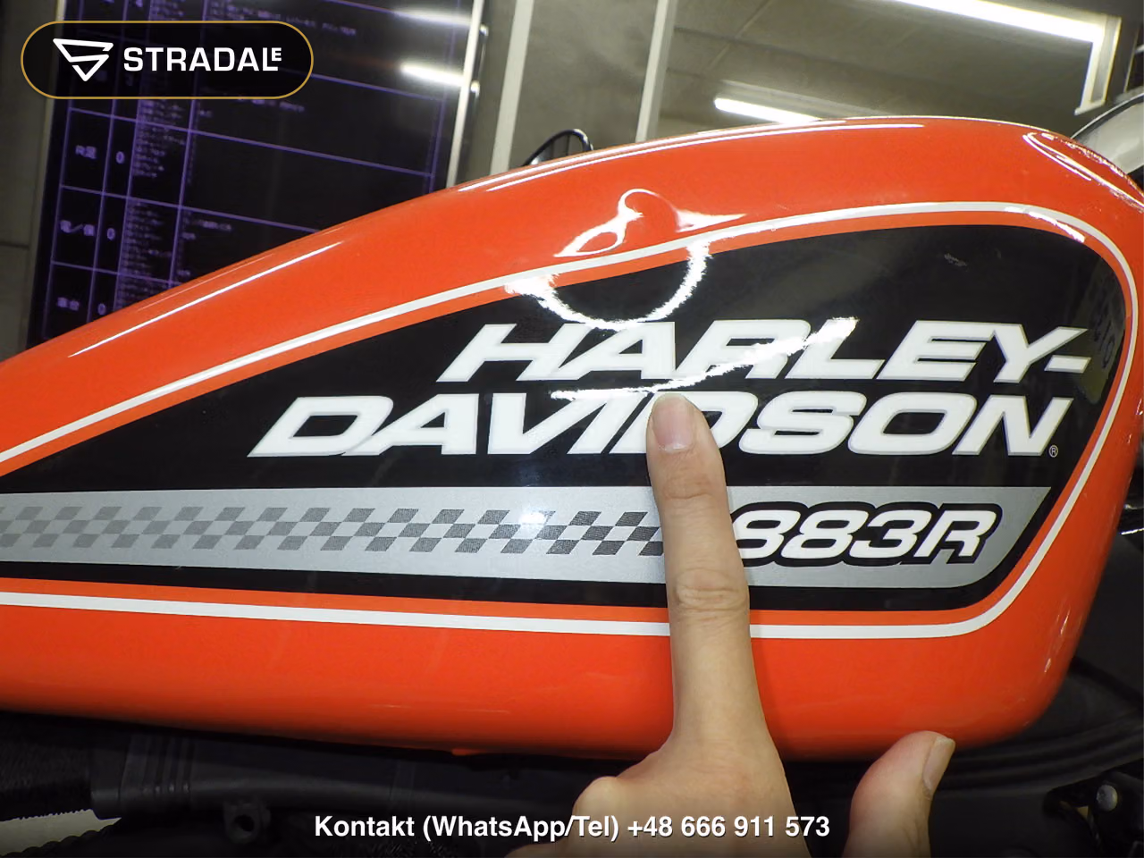 HARLEY-DAVIDSON XL883R-I, miniaturka 11