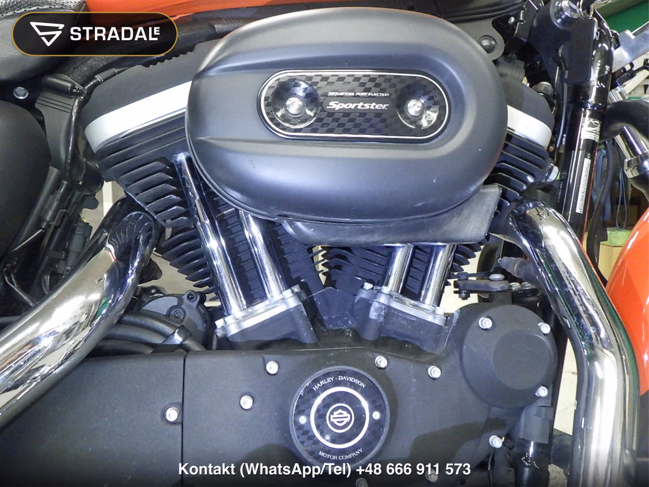 HARLEY-DAVIDSON XL883R-I, miniaturka 5
