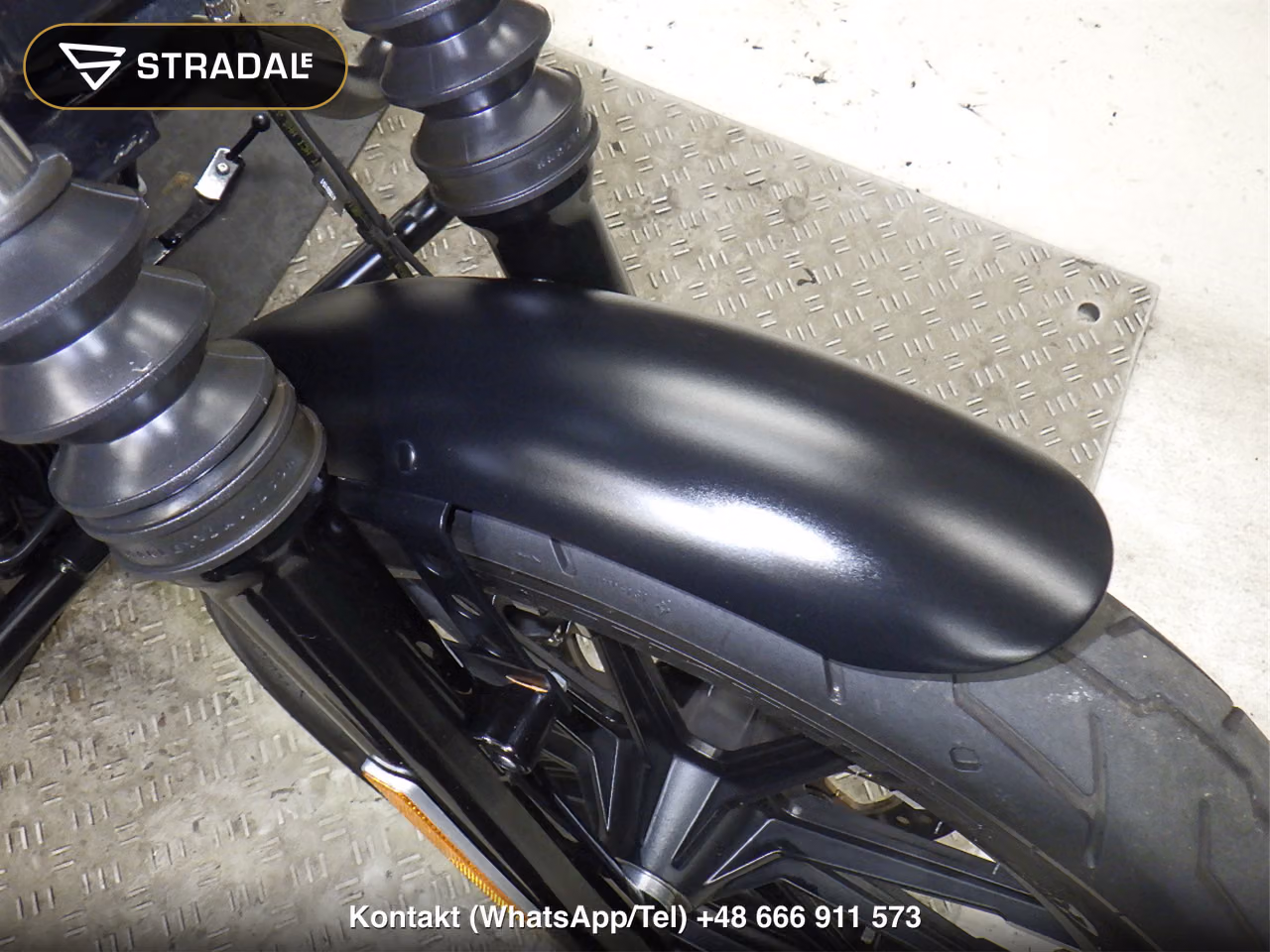 HARLEY-DAVIDSON XL883N, miniaturka 12