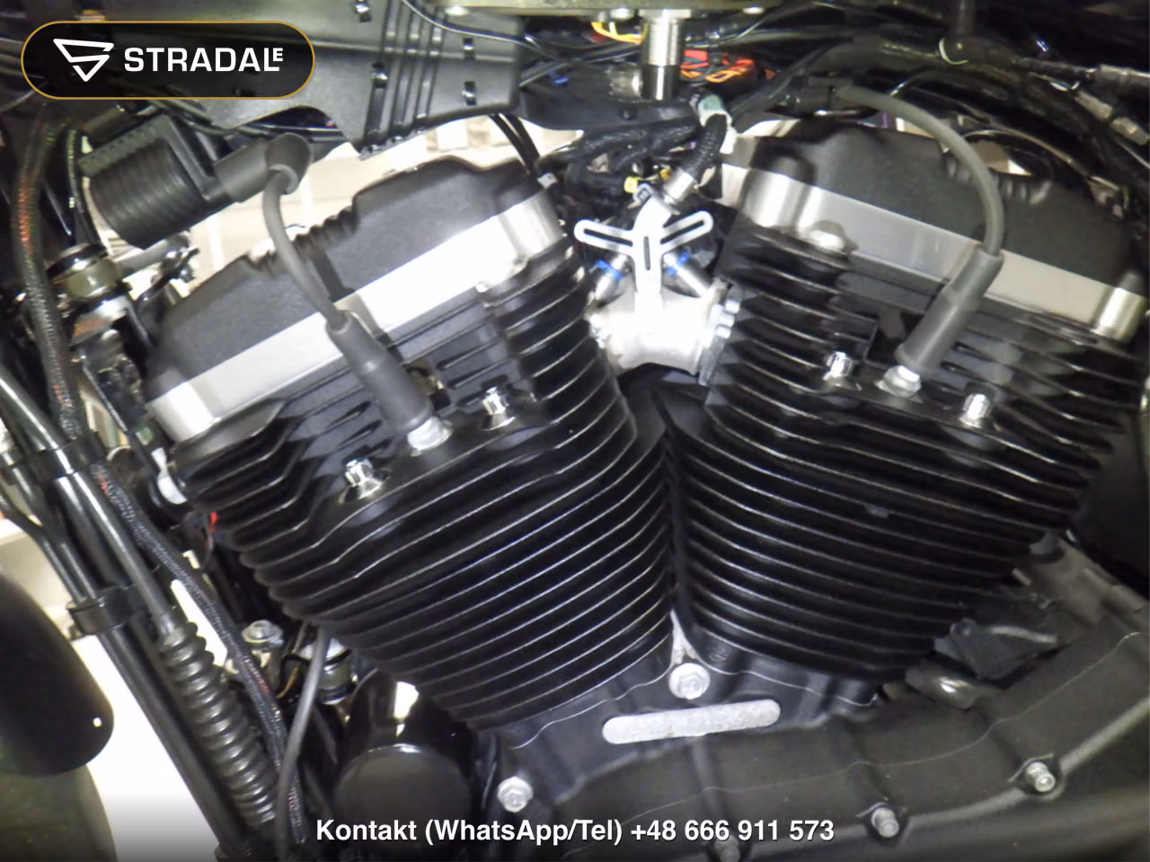 HARLEY-DAVIDSON XL883N, miniaturka 3