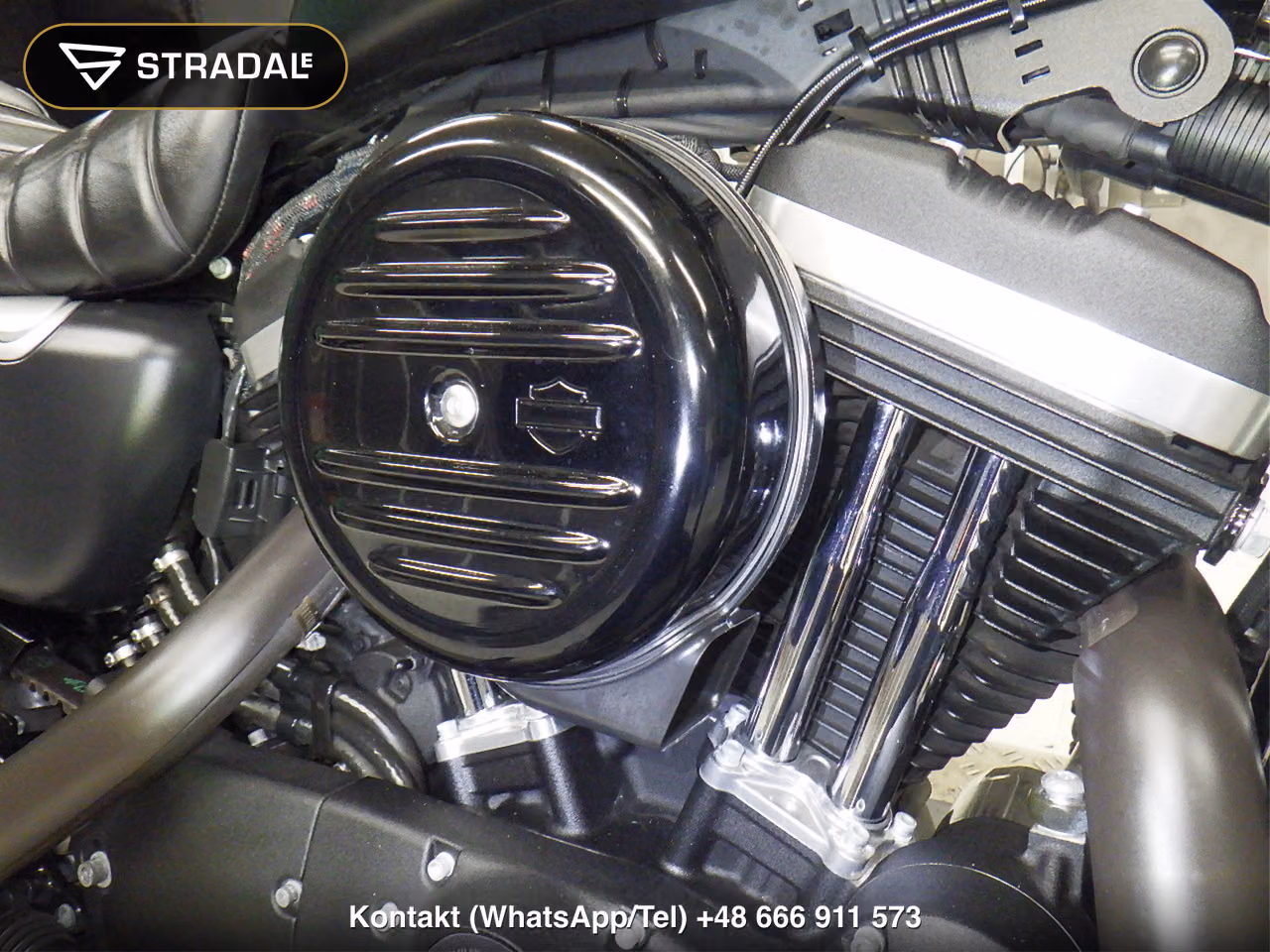 HARLEY-DAVIDSON XL883N, miniaturka 4