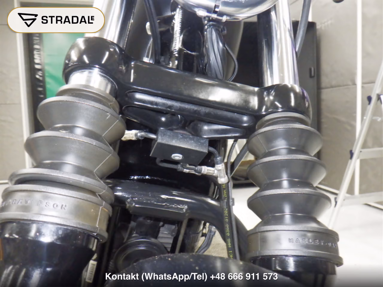 HARLEY-DAVIDSON XL883N, miniaturka 7
