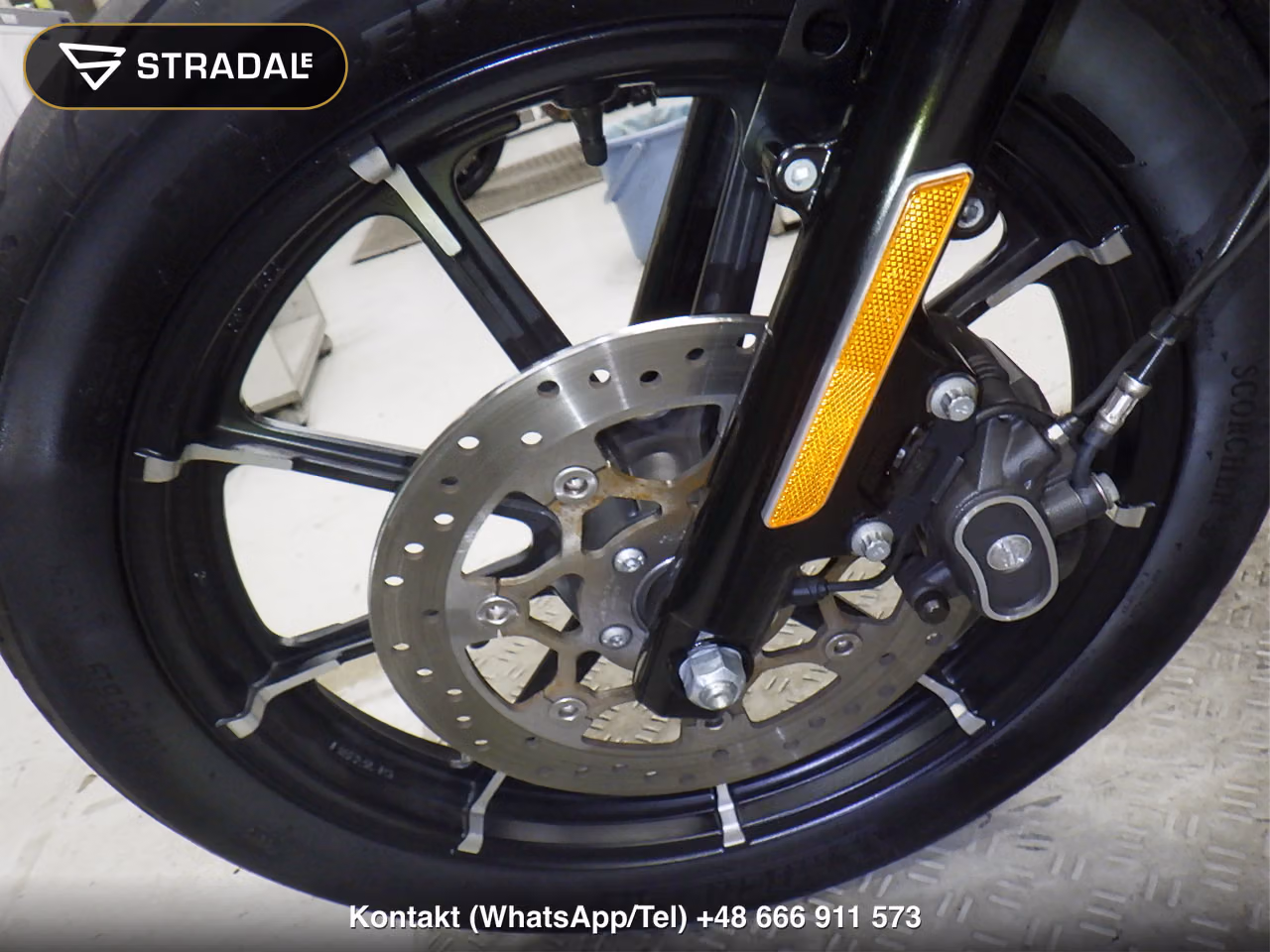 HARLEY-DAVIDSON XL883N, miniaturka 9