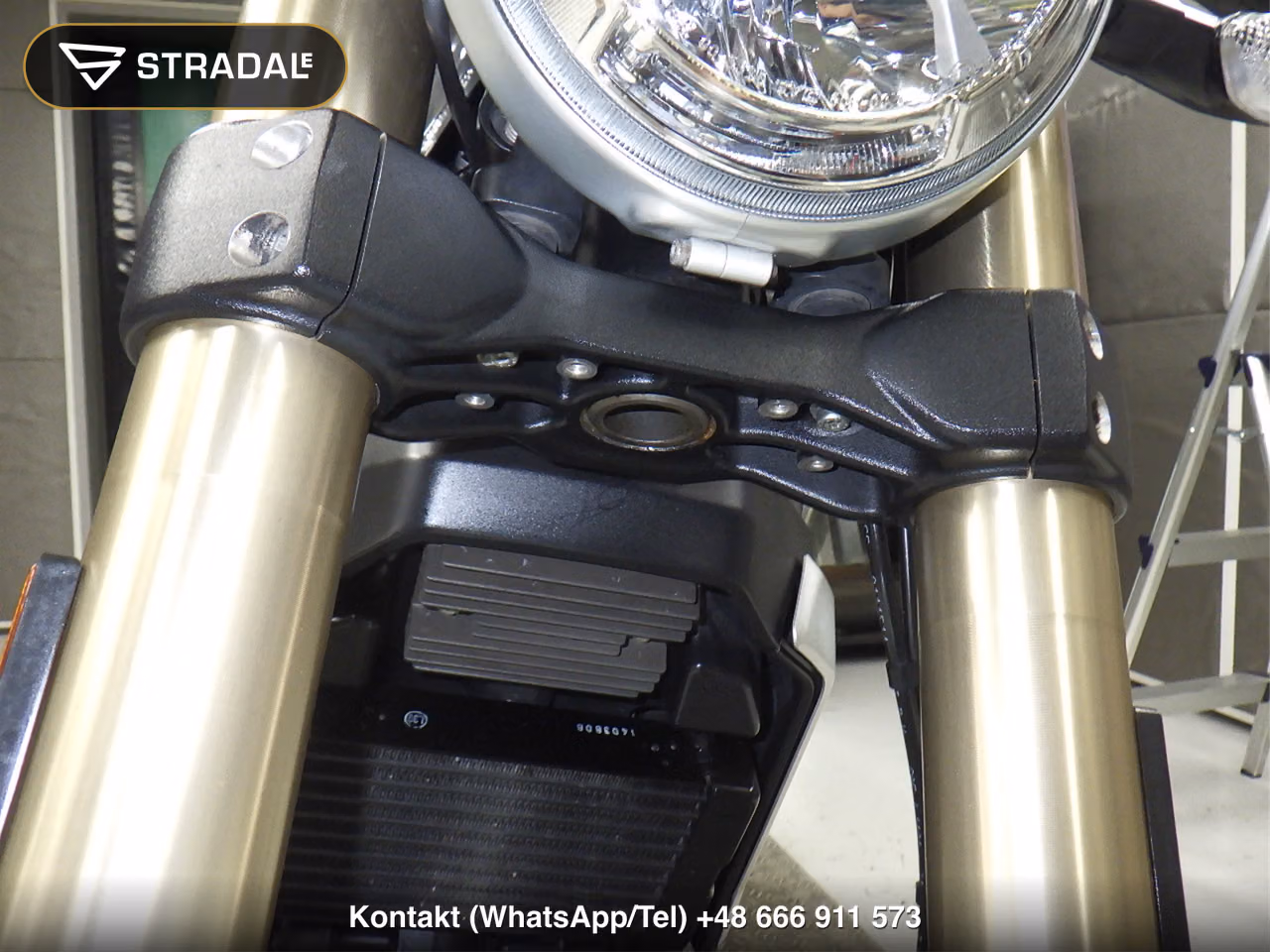 DUCATI ｽｸﾗﾝﾌﾞﾗｰ1100, miniaturka 9