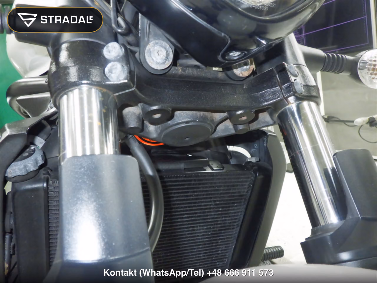 KAWASAKI VULCAN650S, miniaturka 8