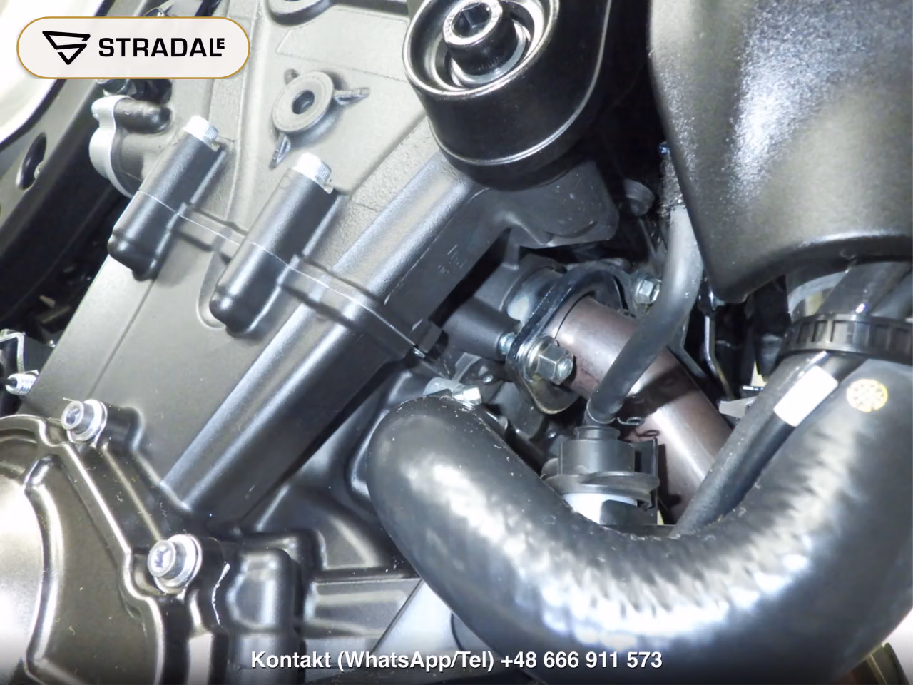 YAMAHA XSR900-2, miniaturka 3