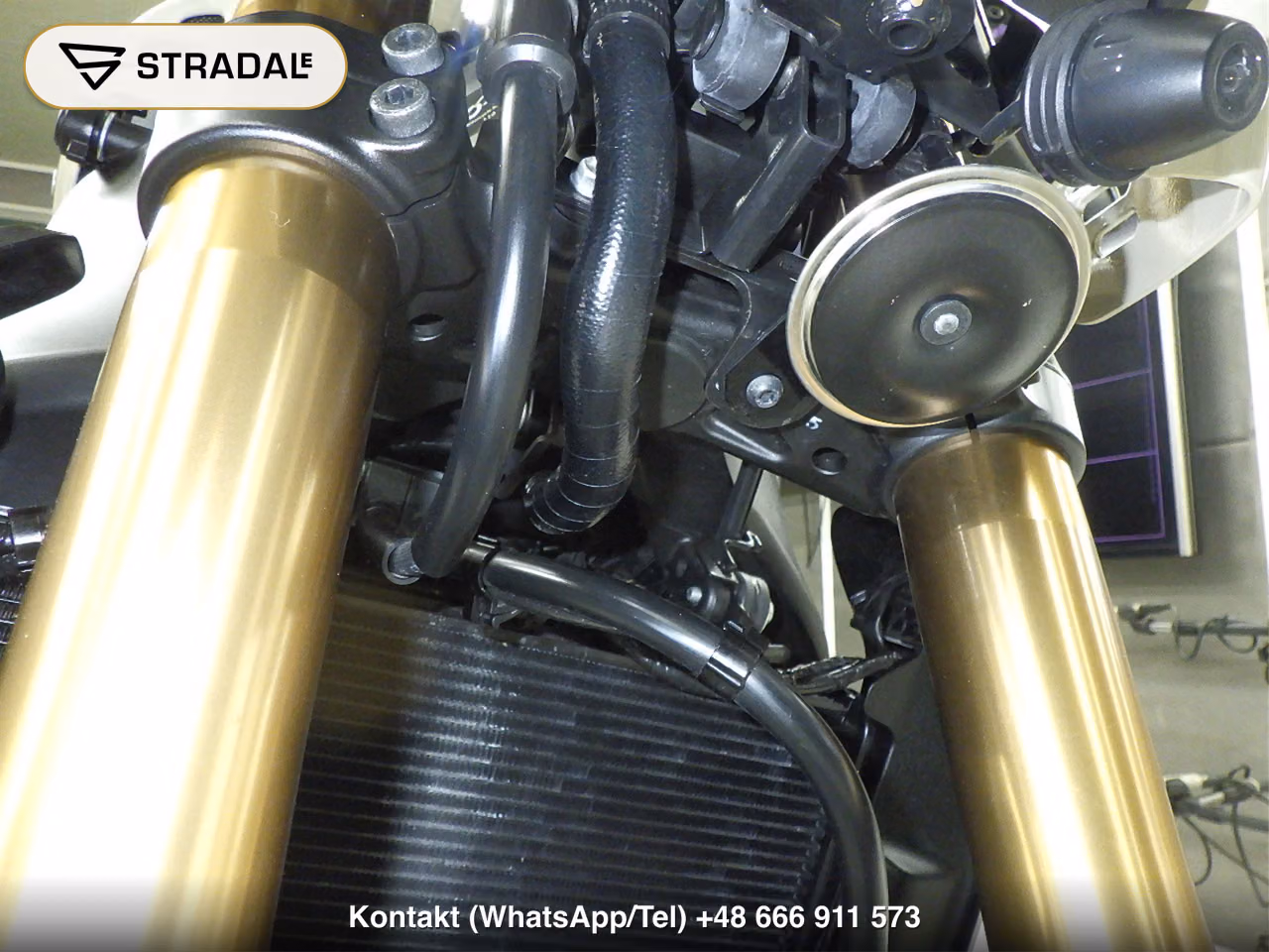 YAMAHA XSR900-2, miniaturka 6