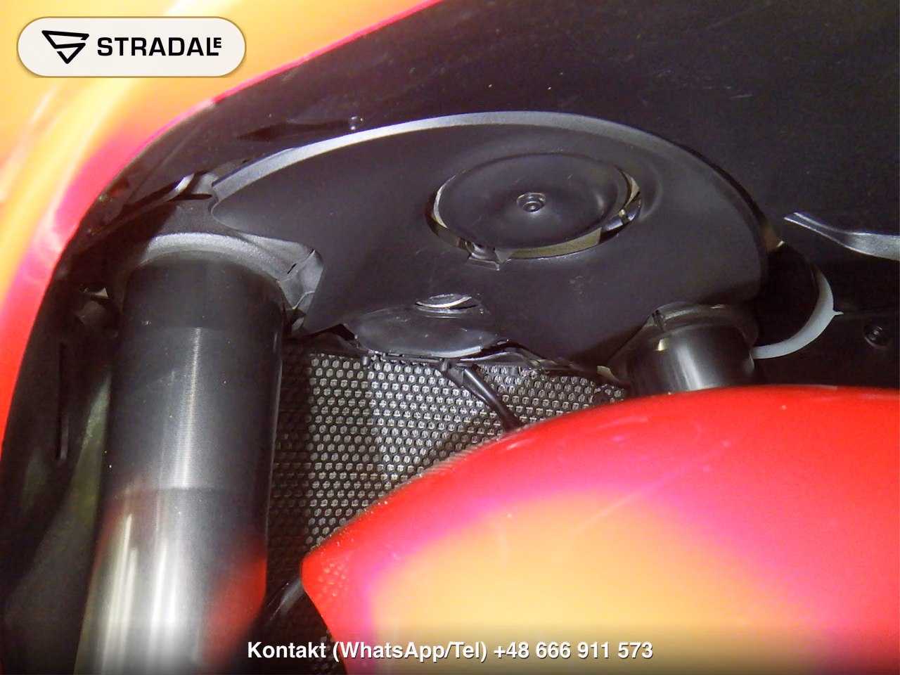 DUCATI ﾊﾟﾆｶﾞｰﾚV4, miniaturka 9