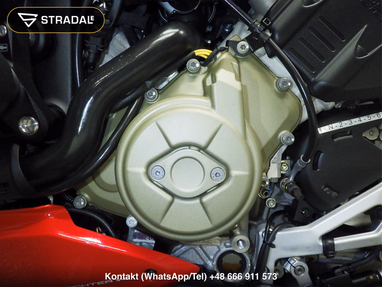 DUCATI ｽﾄﾘｰﾄﾌｧｲﾀｰV4S, miniaturka 2