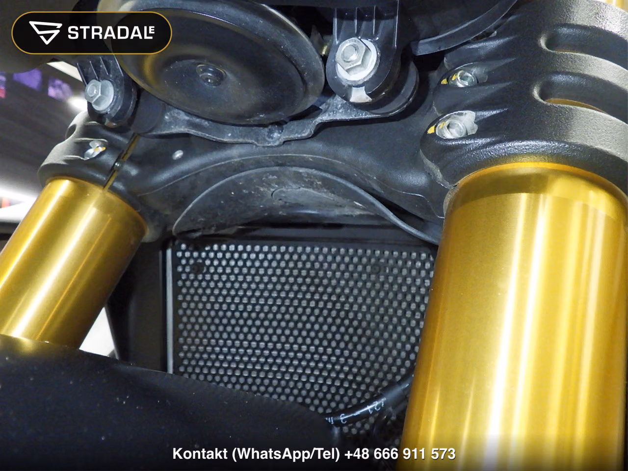 DUCATI ｽﾄﾘｰﾄﾌｧｲﾀｰV4S, miniaturka 7