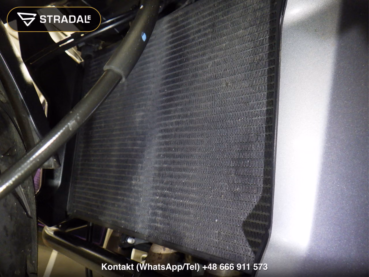 TRIUMPH ﾀｲｶﾞｰｽﾎﾟｰﾂ660, miniaturka 2