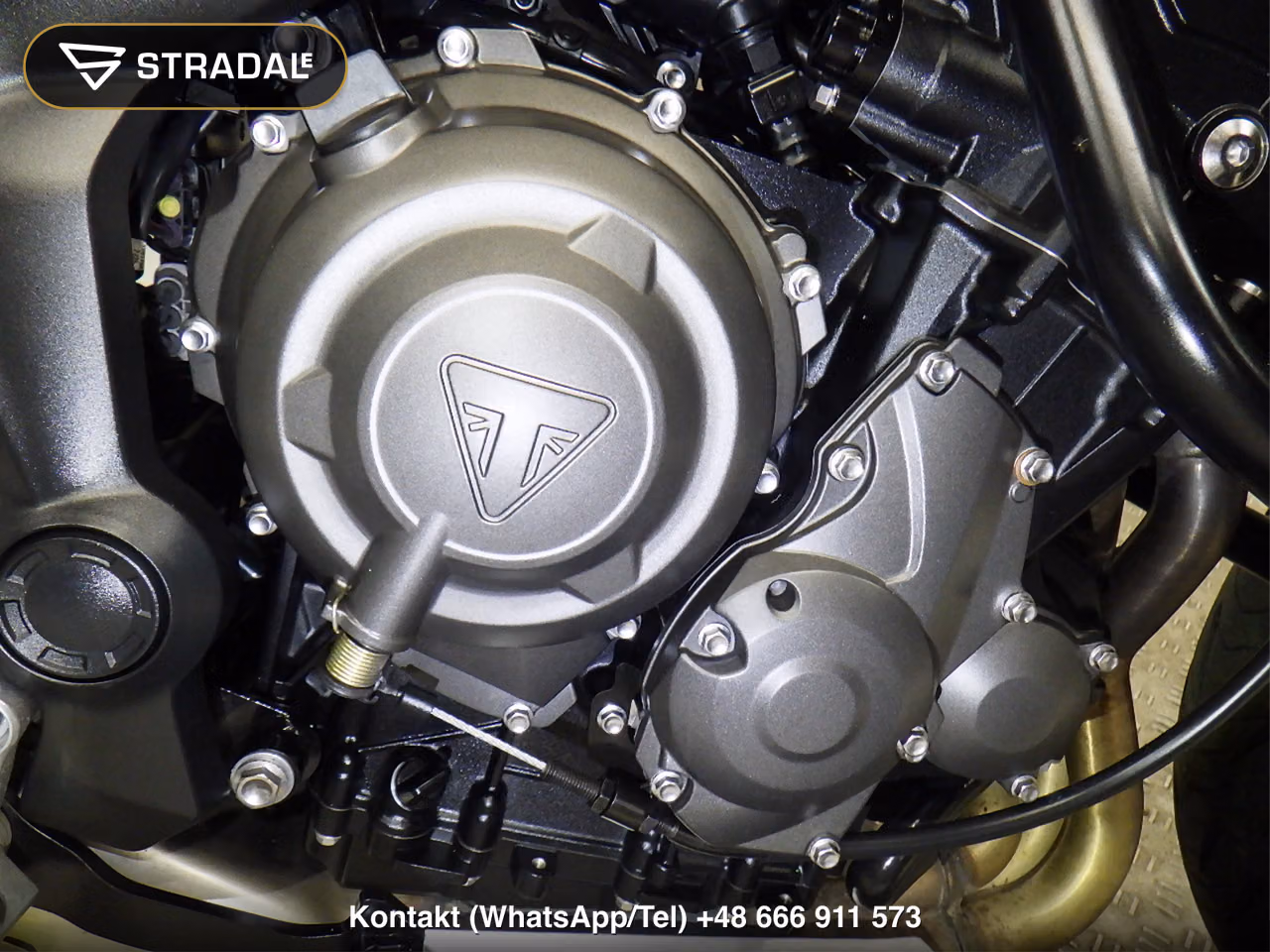 TRIUMPH ﾀｲｶﾞｰｽﾎﾟｰﾂ660, miniaturka 4