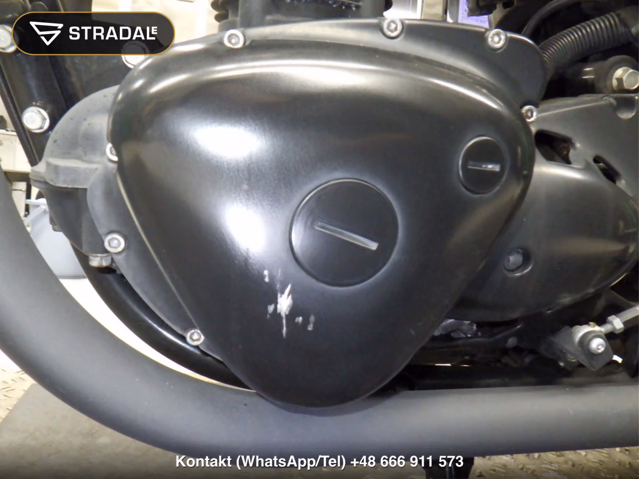 KAWASAKI W800, miniaturka 3