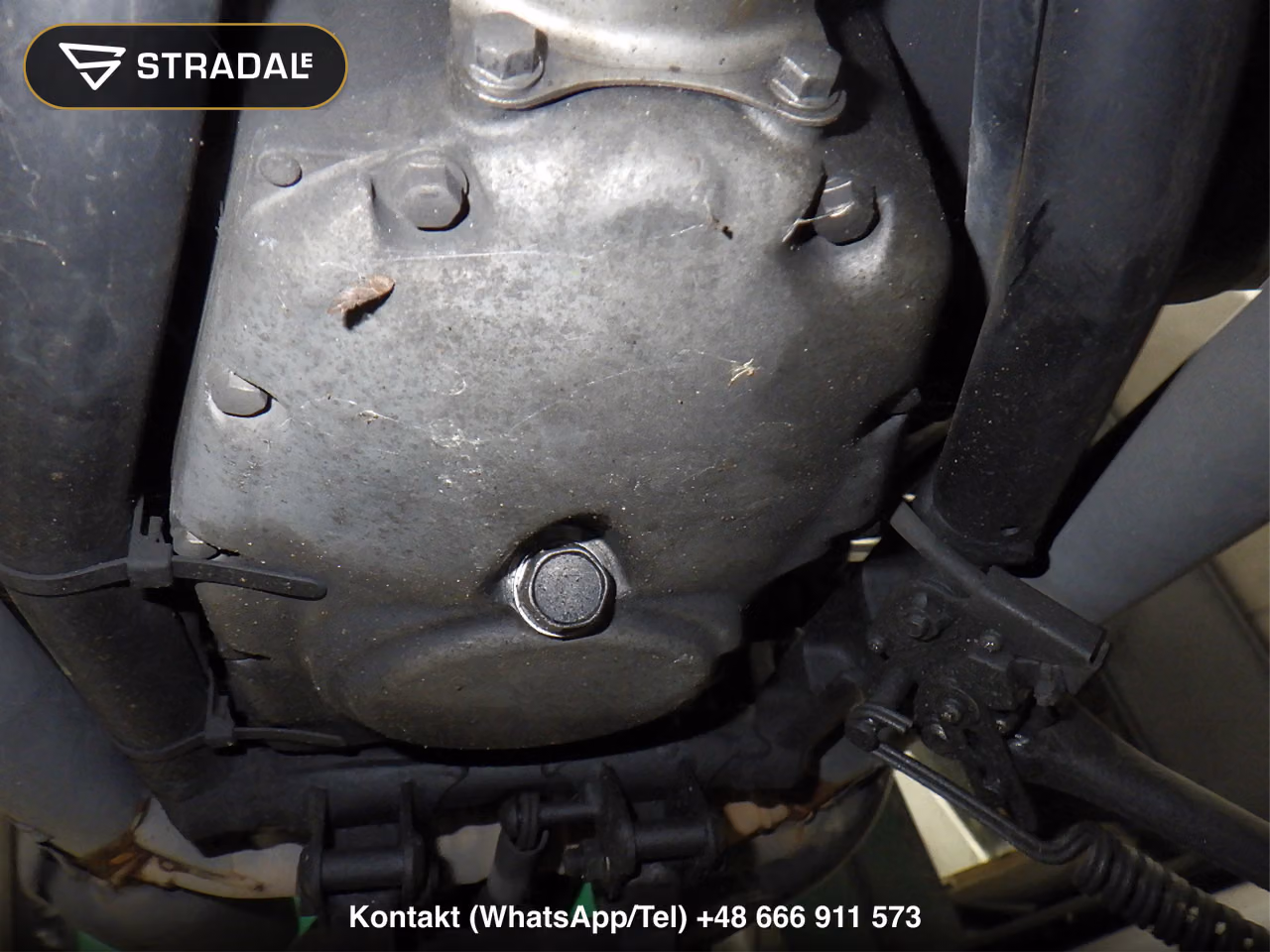 KAWASAKI W800, miniaturka 4