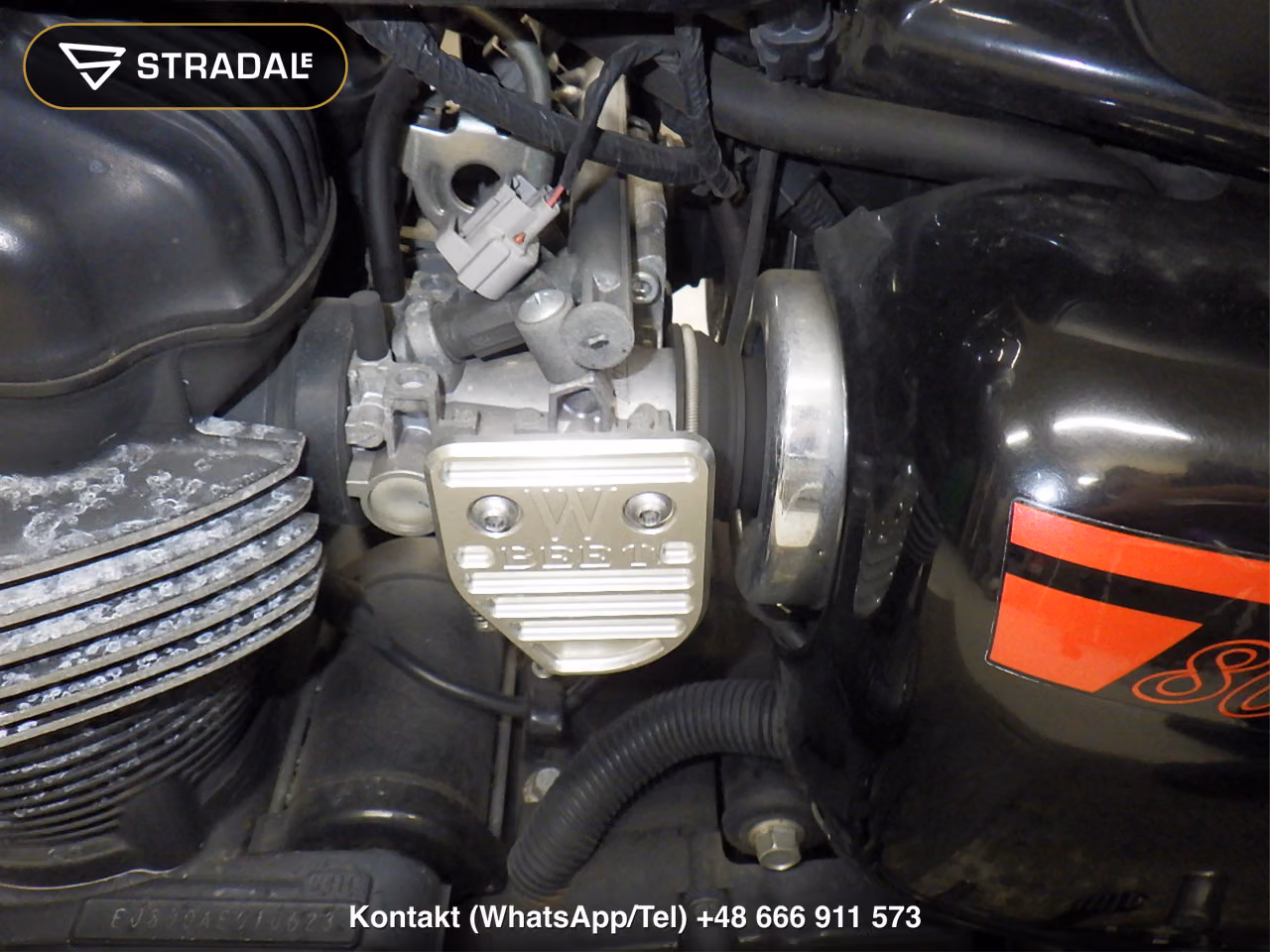 KAWASAKI W800, miniaturka 5