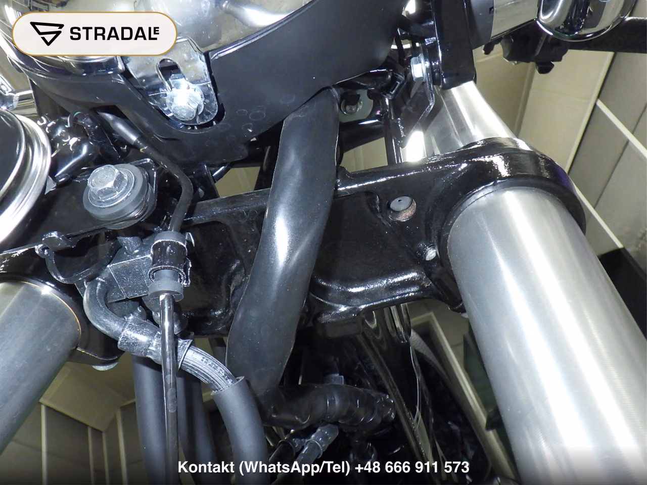 HONDA ﾀﾞｯｸｽ125, miniaturka 6