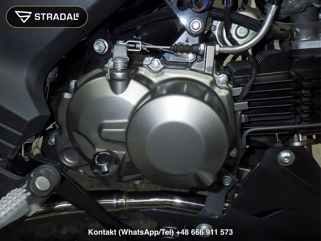 KAWASAKI Z125PRO, miniaturka 2