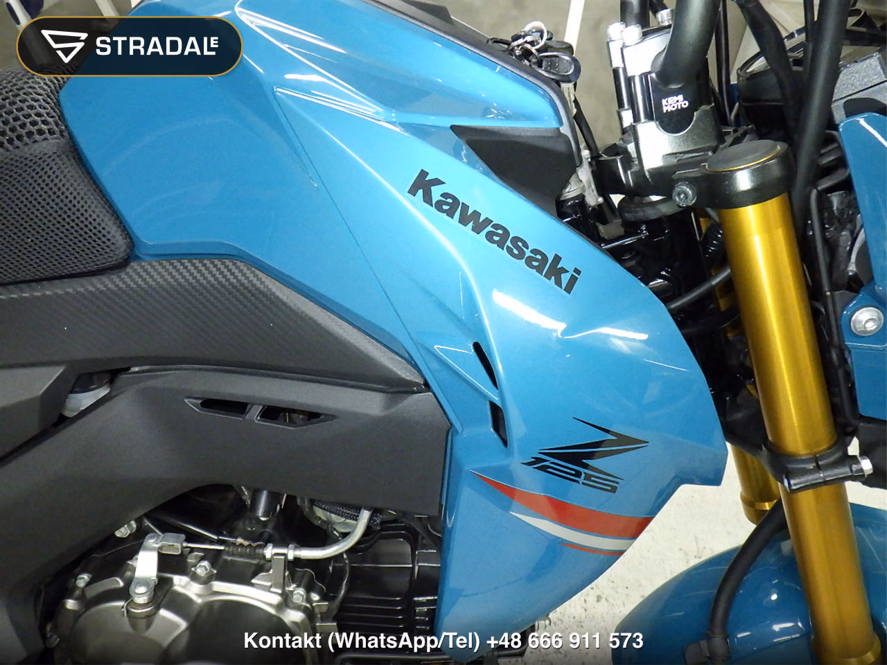 KAWASAKI Z125PRO, miniaturka 11