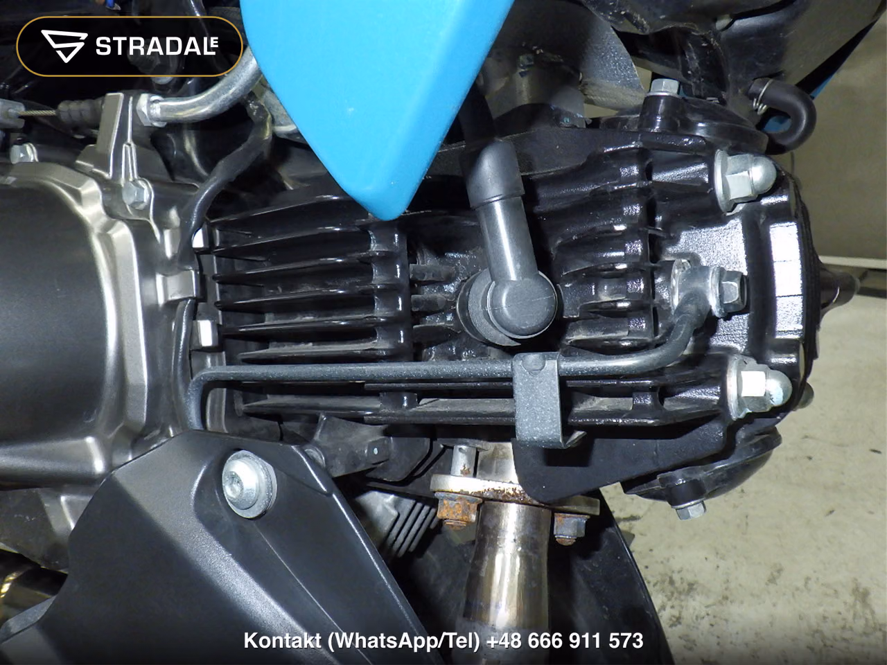 KAWASAKI Z125PRO, miniaturka 3