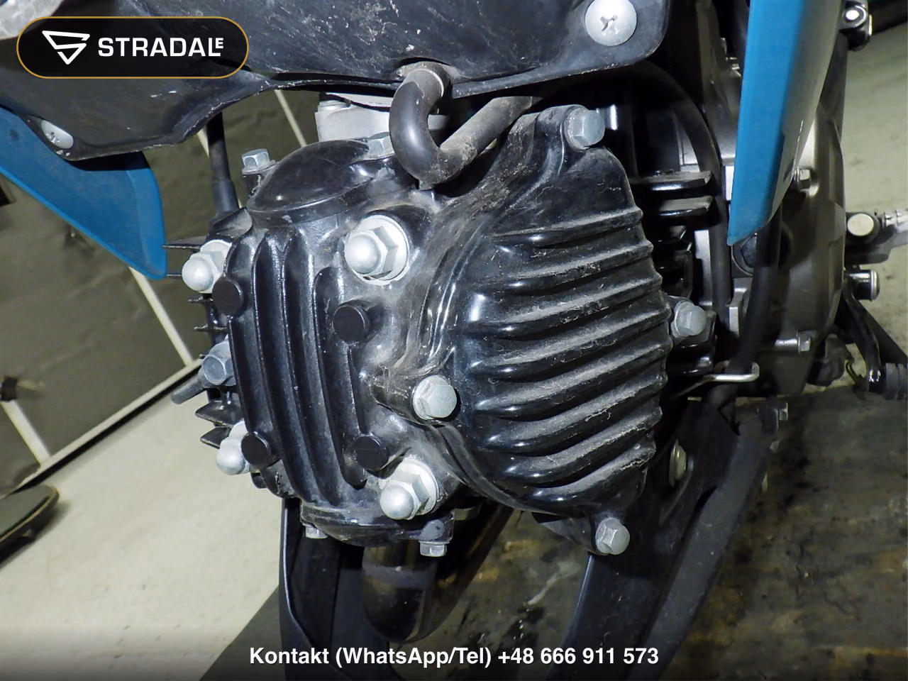 KAWASAKI Z125PRO, miniaturka 5