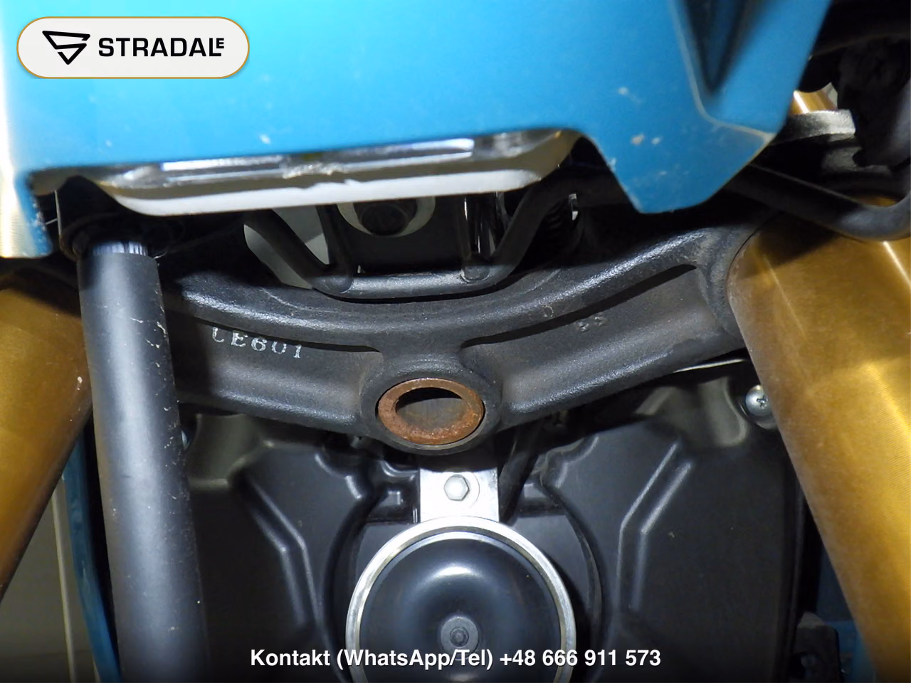 KAWASAKI Z125PRO, miniaturka 6