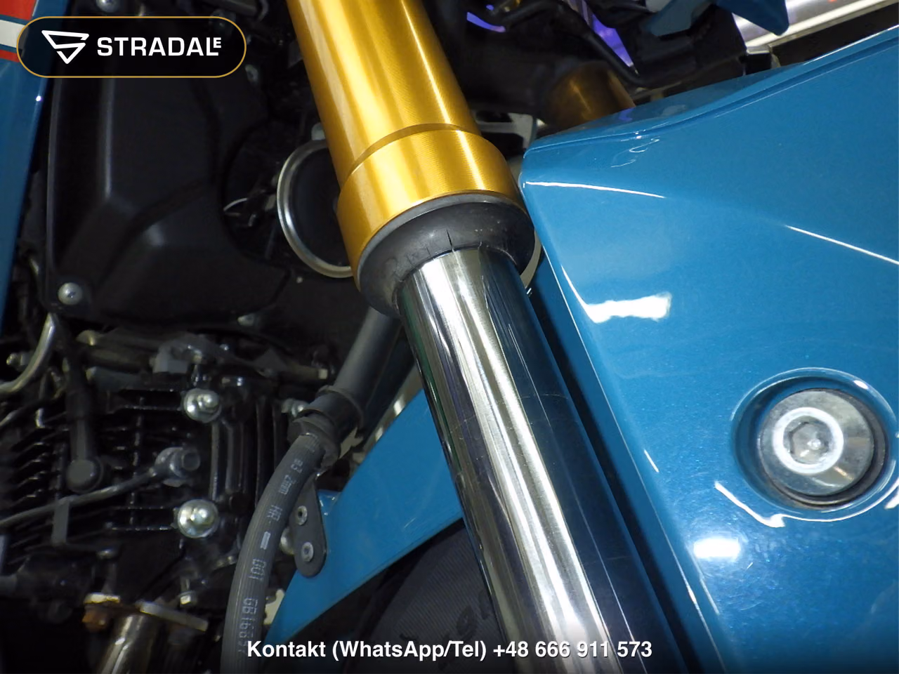 KAWASAKI Z125PRO, miniaturka 7