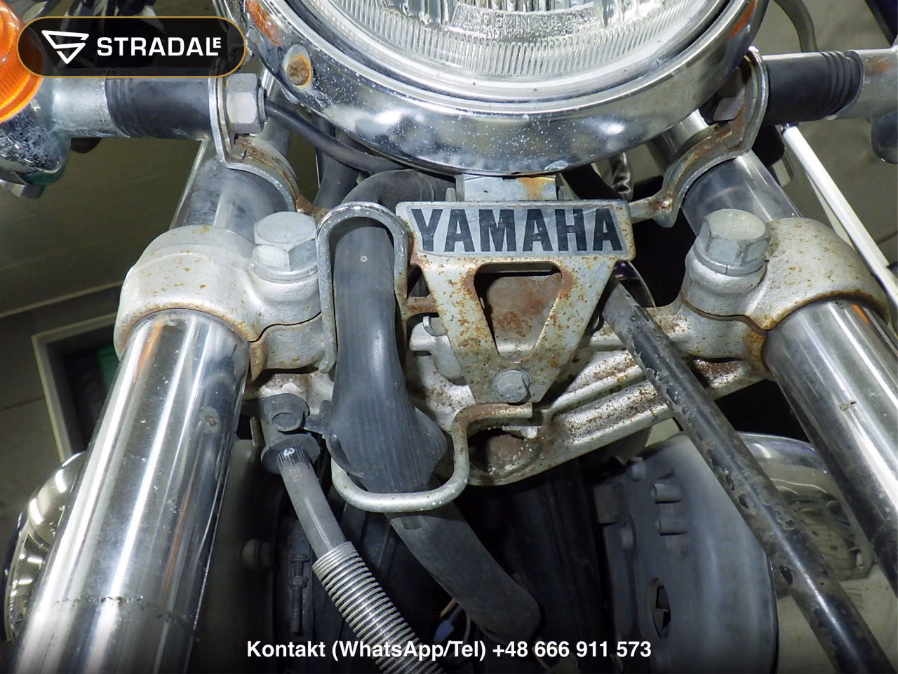 YAMAHA ﾋﾞﾗｰｺﾞ250, miniaturka 6