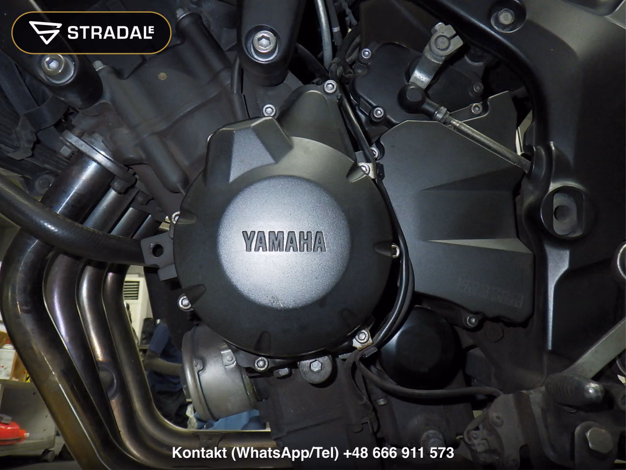 YAMAHA FZ6-S, miniaturka 5