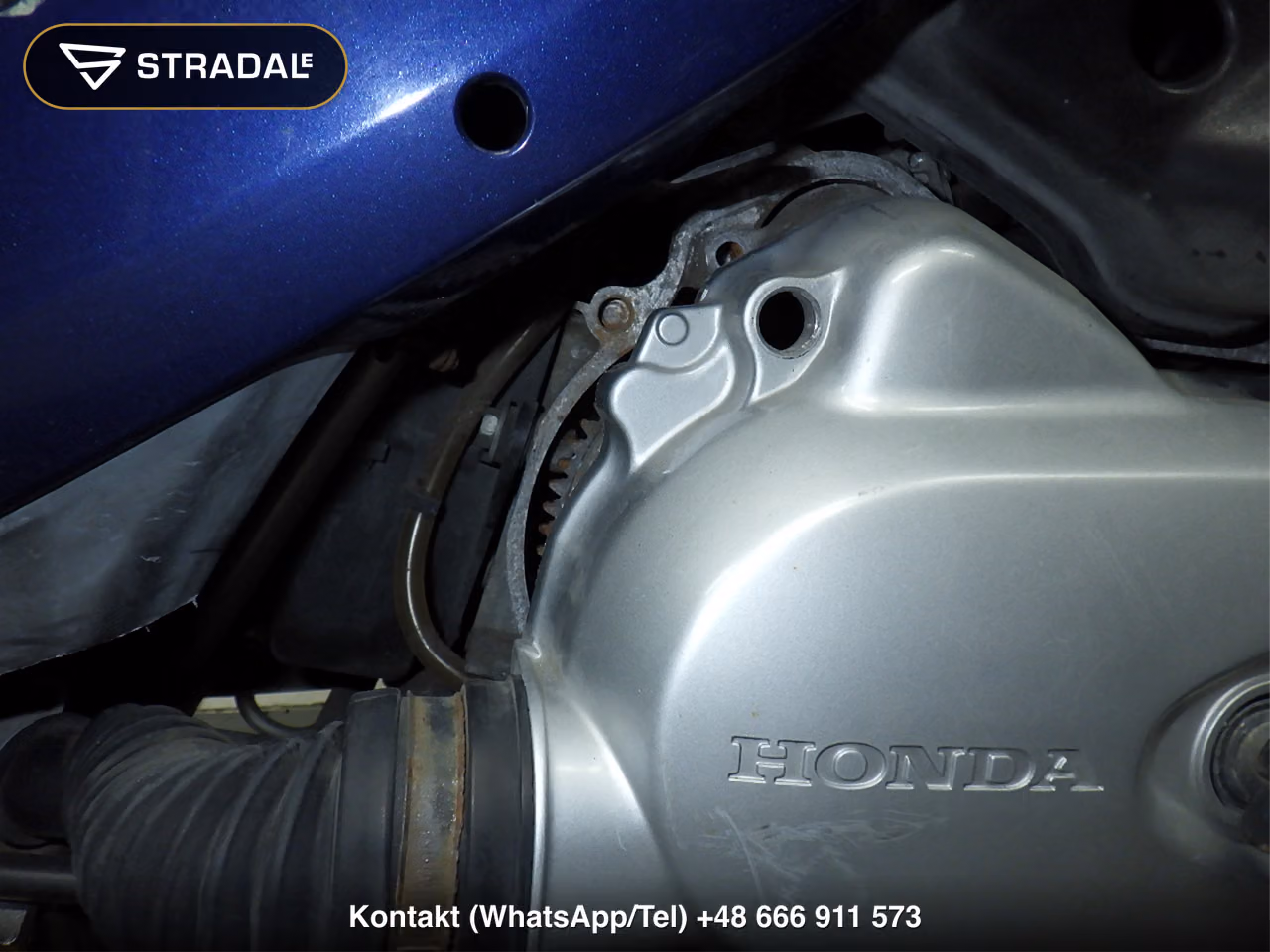 HONDA DIO-6, miniaturka 5