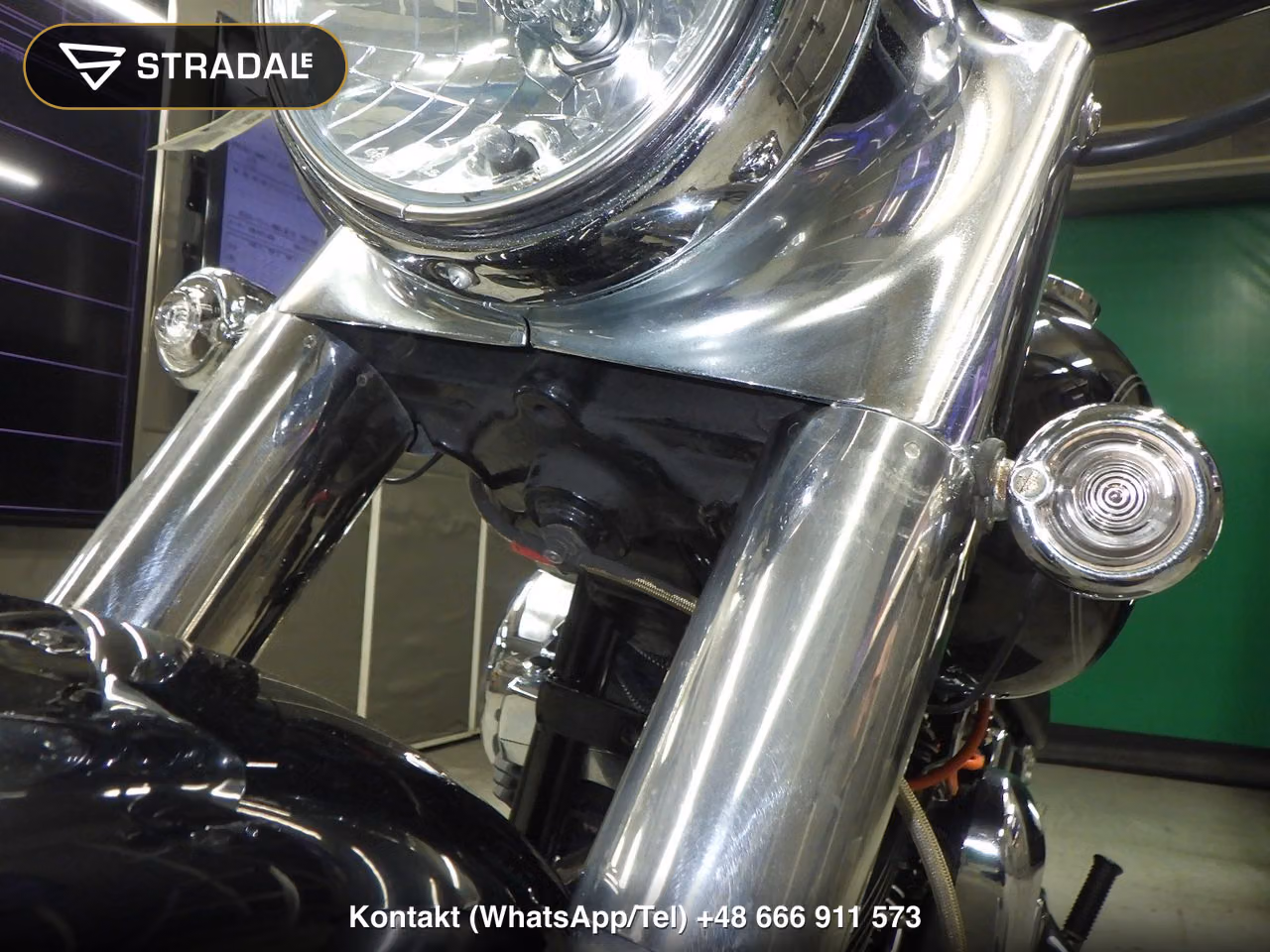 HONDA GL1800ﾂｱｰD, miniaturka 7