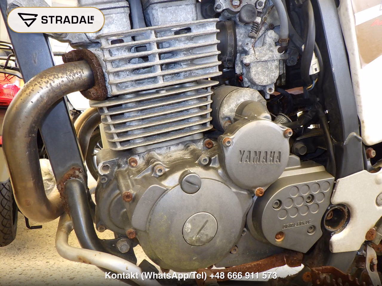 YAMAHA TT250Rﾚｲﾄﾞ(ｼｮﾙｲﾅｼ), miniaturka 3