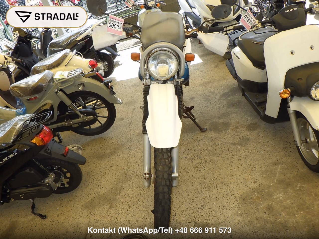 YAMAHA TT250Rﾚｲﾄﾞ(ｼｮﾙｲﾅｼ), miniaturka 6