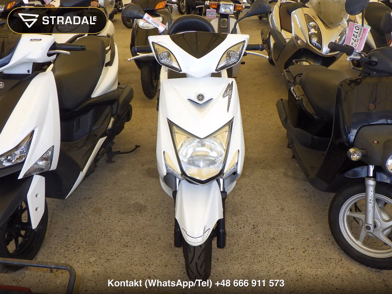 YAMAHA ｼｸﾞﾅｽ125XSR-2, miniaturka 6