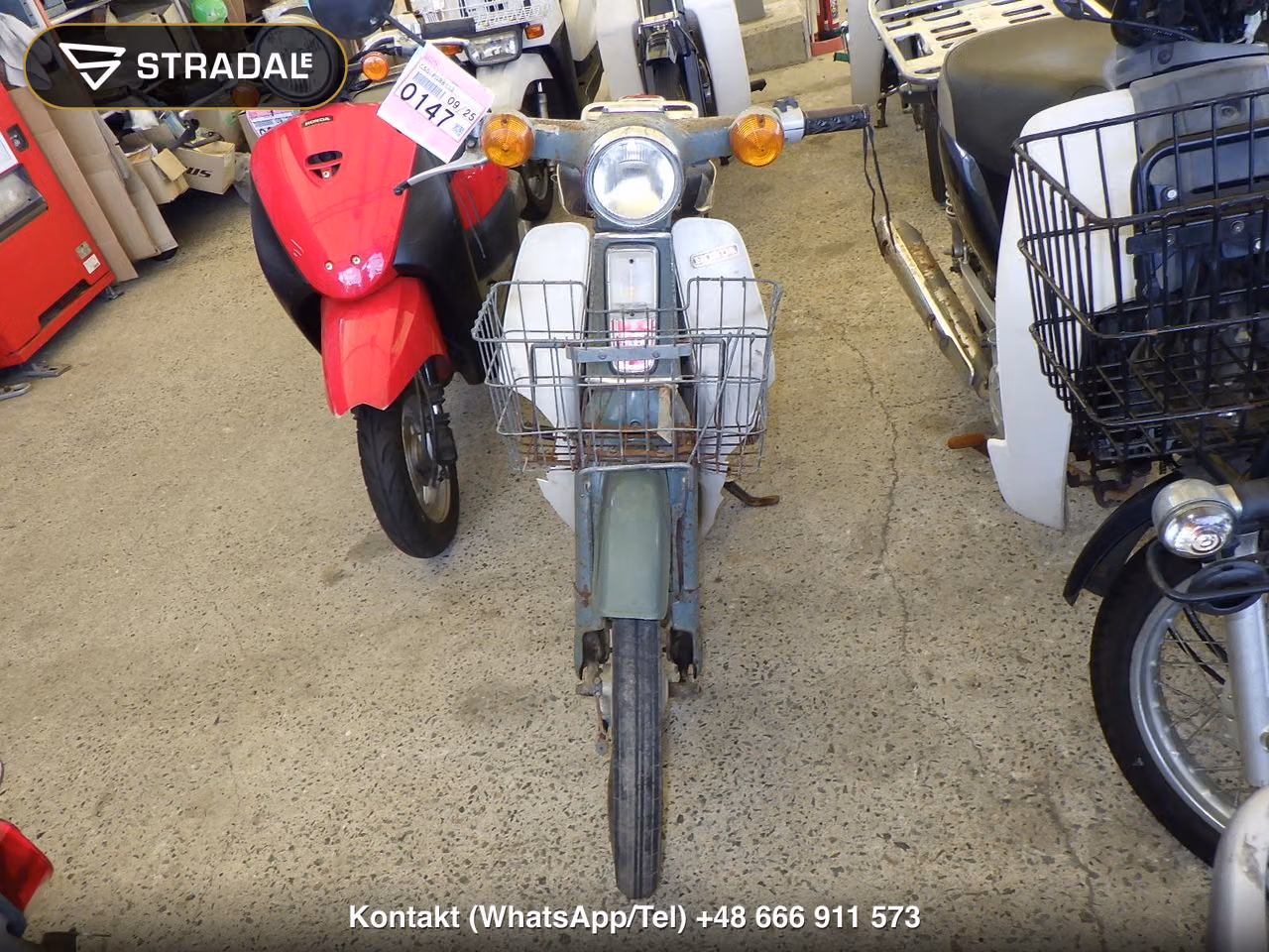 HONDA C50, miniaturka 6