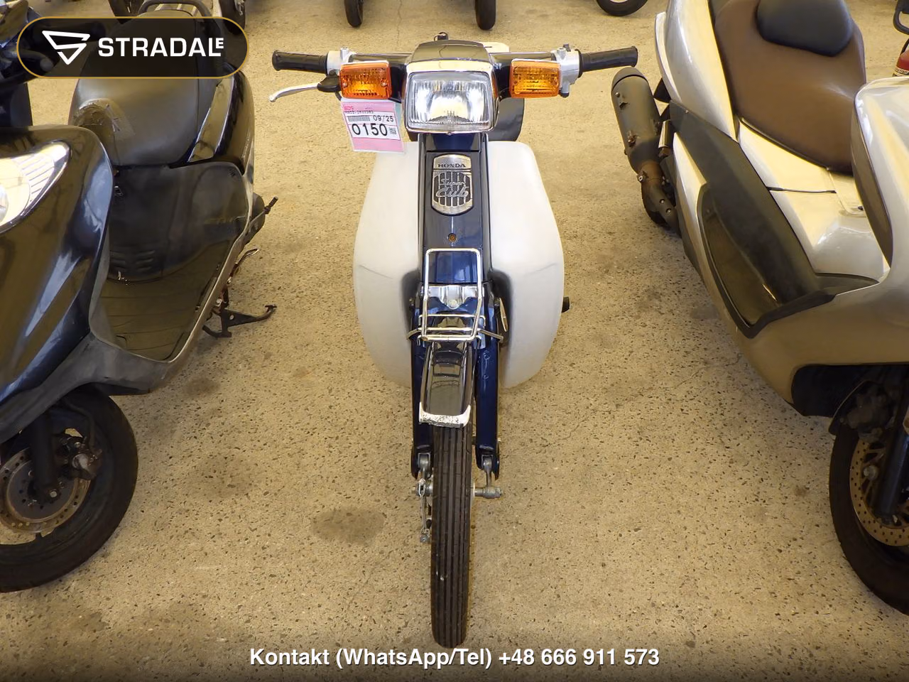 HONDA C90-E, miniaturka 6