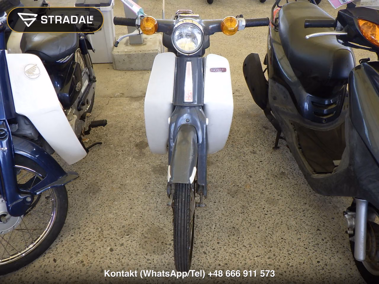 HONDA C65, miniaturka 6