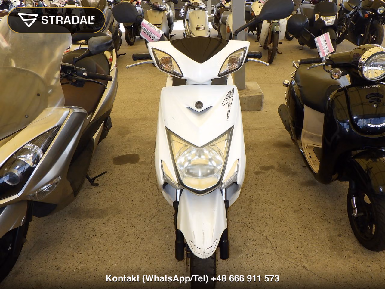 YAMAHA ｼｸﾞﾅｽ125XSR-2, miniaturka 6