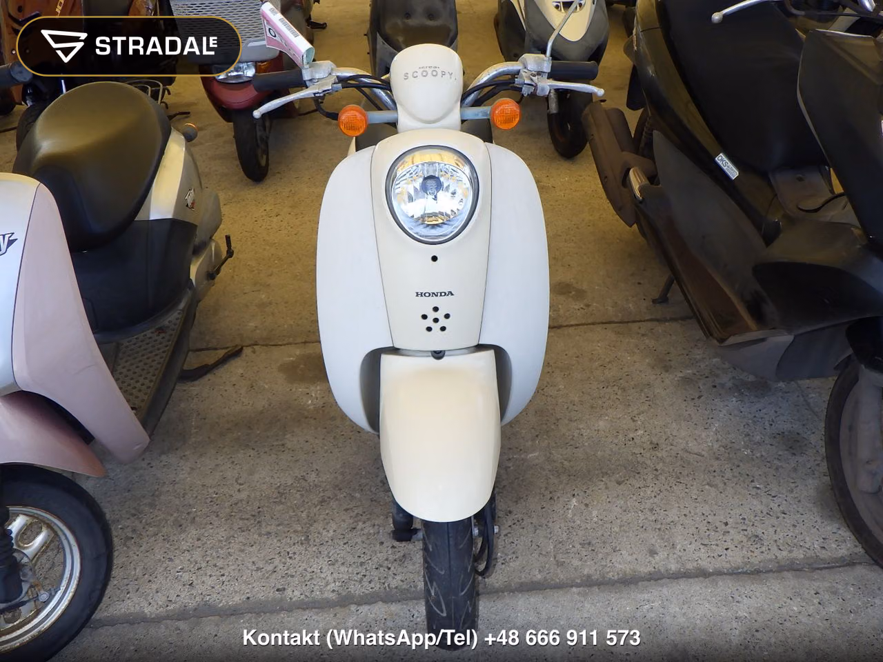 HONDA ｸﾚｱｽｸｰﾋﾟｰ, miniaturka 6