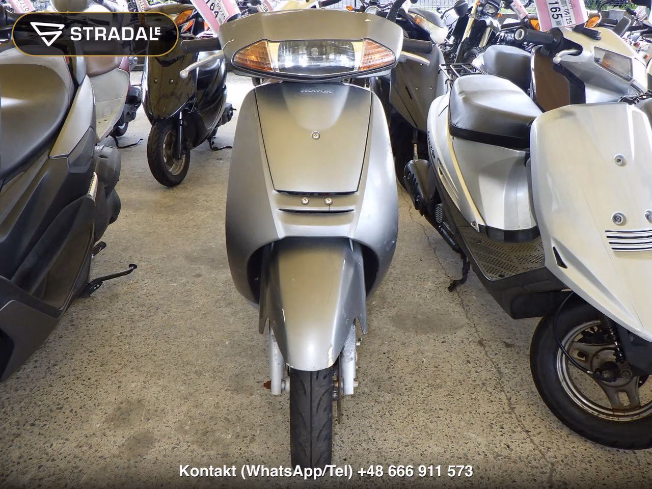 HONDA ﾘｰﾄﾞ50-2, miniaturka 6