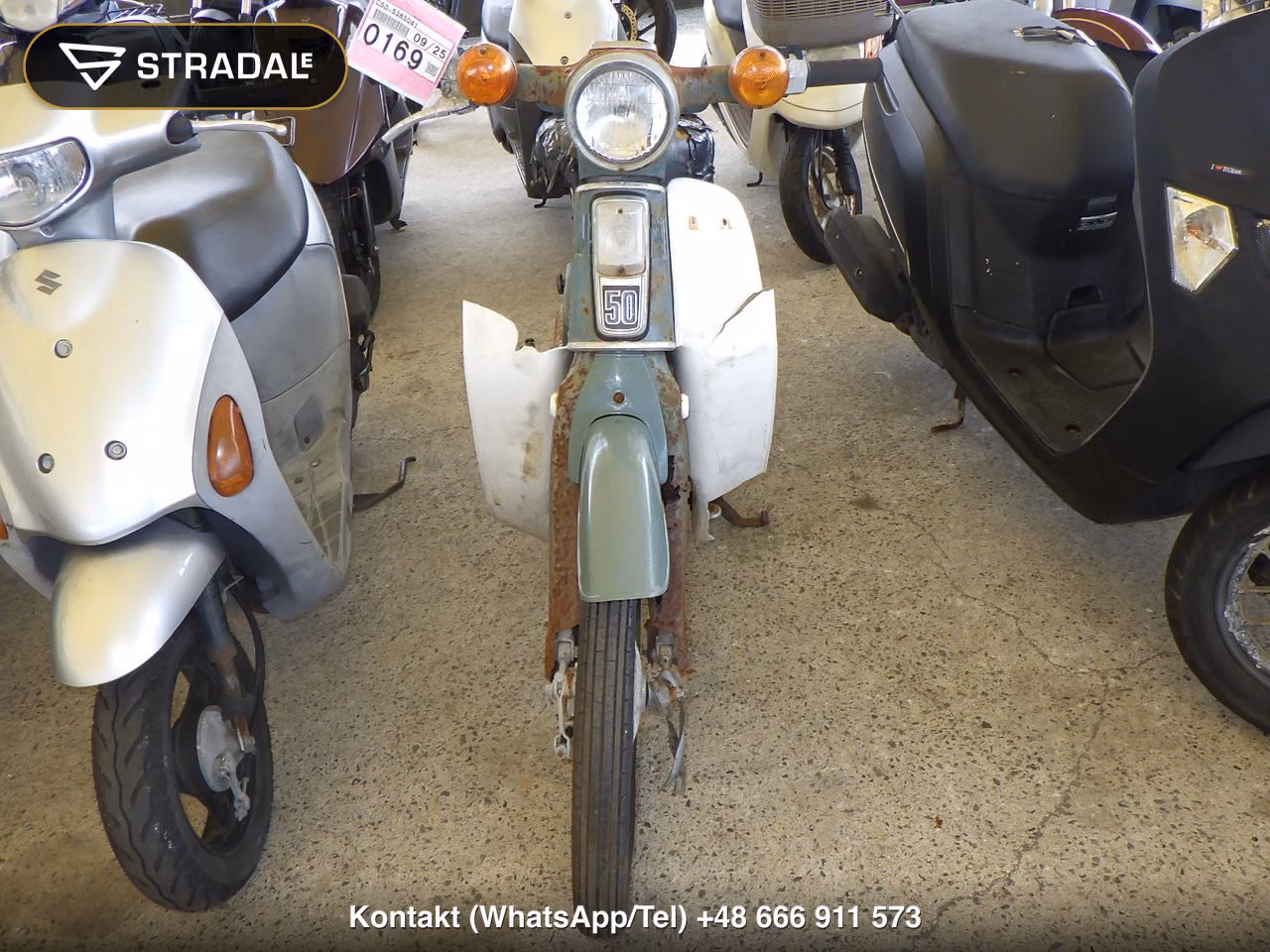 HONDA C50, miniaturka 6