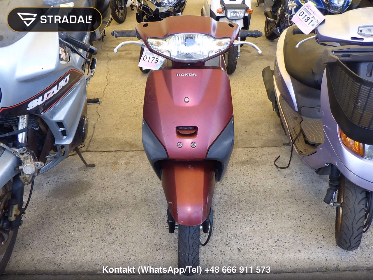 HONDA ﾀｸﾄ-4, miniaturka 6