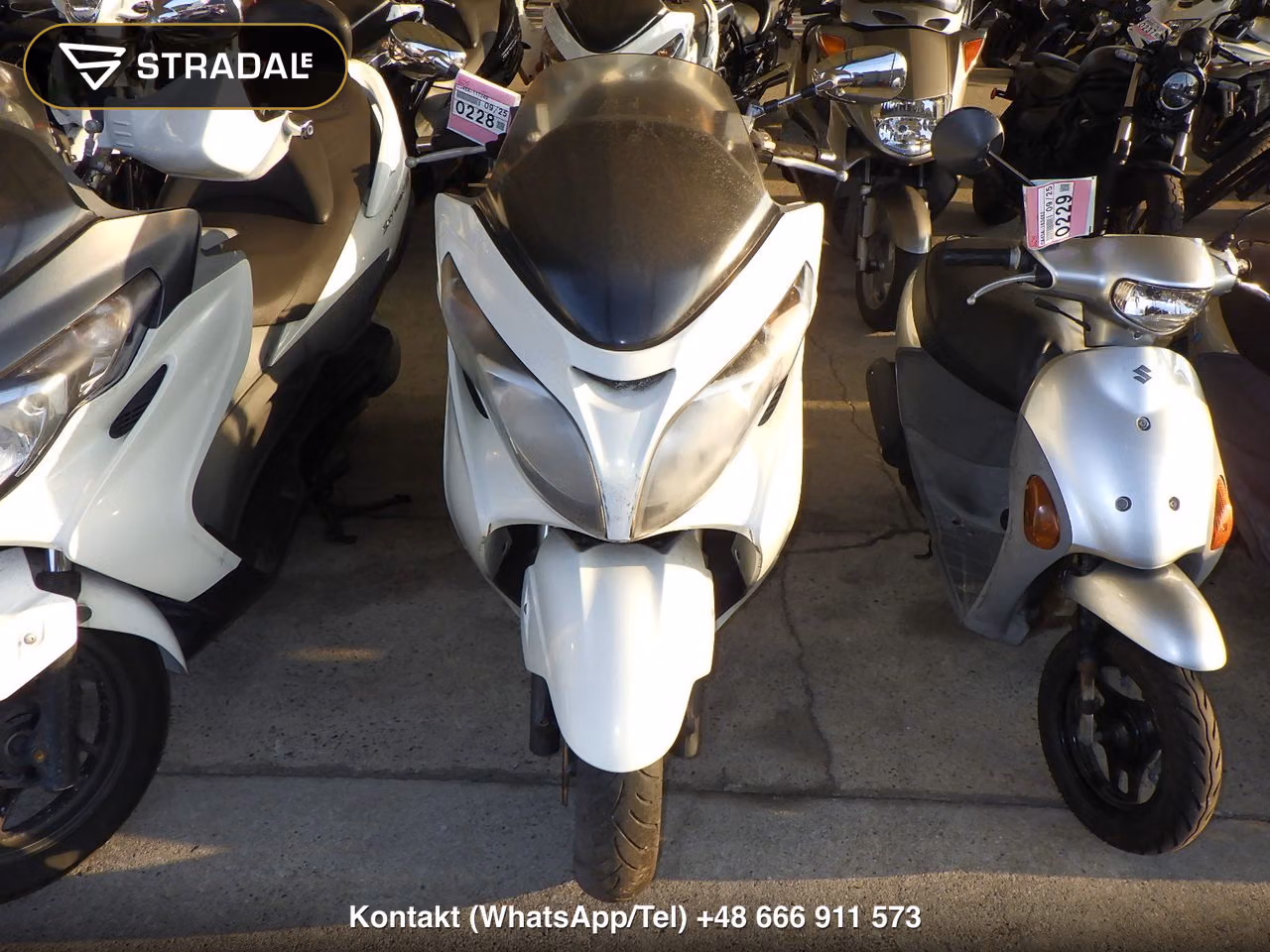 SUZUKI ｽｶｲｳｪｲﾌﾞ250S-3, miniaturka 6